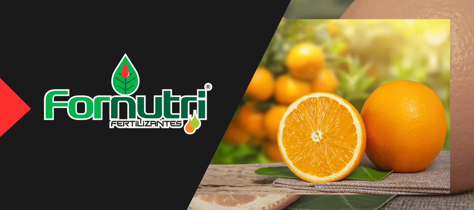 Fornutri Fertilizantes — lavoura